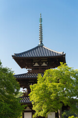 Obraz premium 法起寺の三重塔