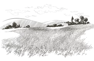 Poster Vector schets Groen grasveld op kleine heuvels. Weide, alkali, loog, grasland, pommel, lea, weiland, boerderij. Landelijk landschap landschap panorama van platteland weiden. illustratie © mozart3737