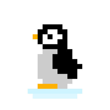 penguin pixel image. vector illustration.