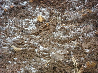 Hiking in the wild and dramatic landscapes of Iceland's fjords, volcanoes, mountains, geysers and waterfalls