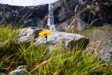 Beautiful summer landscape in the Austrian Alps