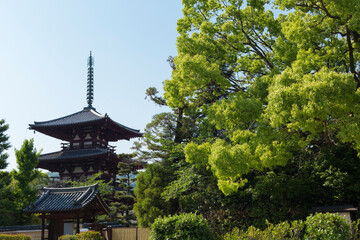 法輪寺三重塔と新緑の木