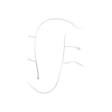 recommend clip art: SINGLE-LINE DRAWING OF A WOMAN,Female 7. This hand-drawn, continuous, line illustration is part of a collection artworks inspired by the drawings of Picasso. Each gesture sketch was created by hand. 
                    