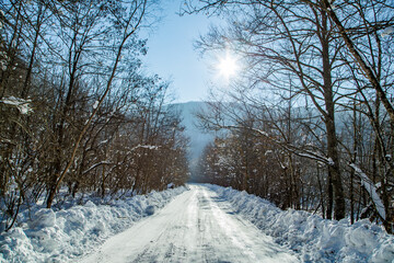 Obraz premium snowy road cleared in the forest on a background of trees and sky rays of the sun. winter season.