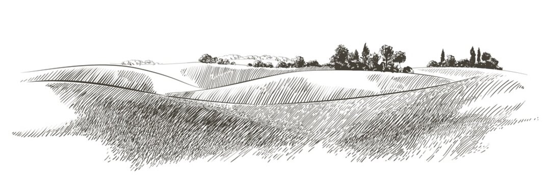 Vector sketch Green grass field on small hills. Meadow, alkali, lye, grassland, pommel, lea, pasturage, farm. Rural scenery landscape panorama of countryside pastures. illustration