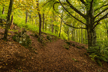 Obraz premium Fantastic autumn hike in the beautiful Danube valley near the Beuron monastery