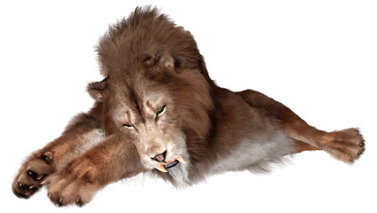 Obraz premium 3D Rendering Sabertooth Tiger on White