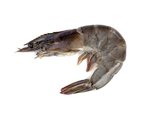 Raw prawns isolated on white background. Top view