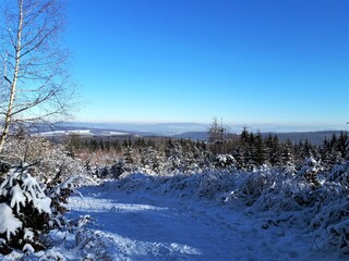 Winterlandschaft