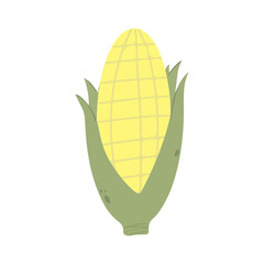 Corn in a cartoon style. Vector image. Isolated on white