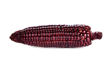 purple corn isolated on a white background