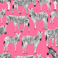 Fototapeta na wymiar Seamless pattern with zebras on a pink background. Animals of Africa. Plains zebra Equus quagga or common zebra. Vector background