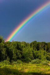 Naklejka premium Rainbow over the summer mixed forest, cloudy sky and clear rainbow colors, forest road. Natural landscape. Rainbow colors after rain. Rain clouds.