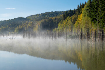 Naklejka na ściany i meble Misty lake morning in Romania - the naturally formed Cuejdel Lake.