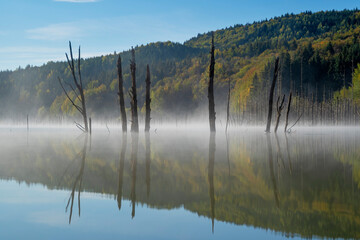 Nature conservation in perspective - Cuejdel Lake, Romania

