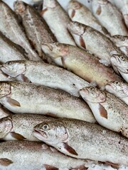 trout fresh fish for food patterns