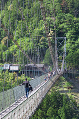 Fototapeta na wymiar 谷瀬の吊り橋