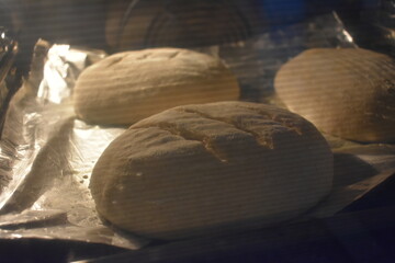 Dough for bread