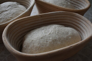 Dough for bread