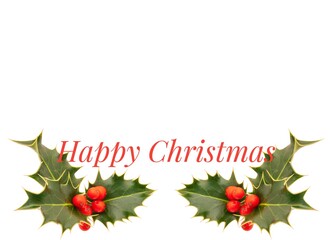 Holly sprig with red berries on white