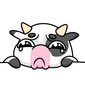 I present you a cute little cow