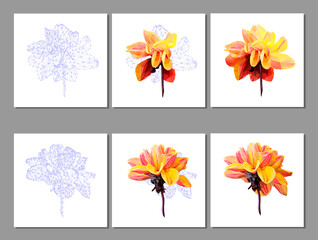 Vector set of yellow flower isolated on white background. Bright sunny summer detailed and accurate design in low poly style. Floral design element.