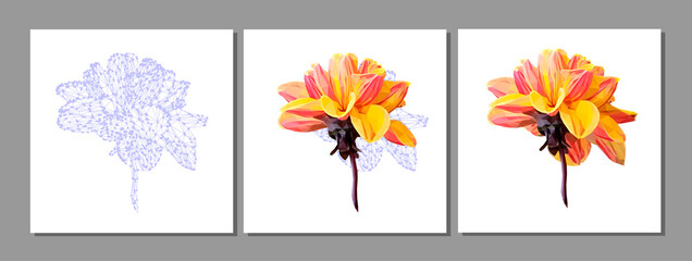 Vector set of yellow flower isolated on white background. Bright sunny summer detailed and accurate design in low poly style. Floral design element.