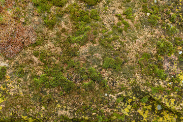 Old stone wall ,background image