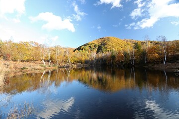 乗鞍高原の紅葉