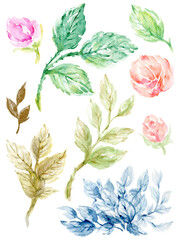 Roses, flowers, leaves, branches foliage Floral vintage splash elements illustration watercolor hand paint For design textiles, paper, wallpaper
