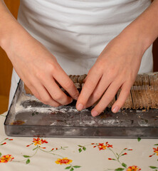 Weihnachtsplätzchen backen in der Vorweihnachtszeit