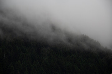 Mist in the mountains
