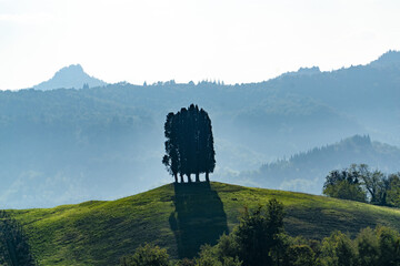 natura colline montagne 