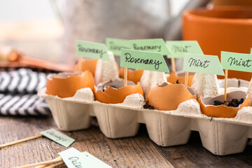 Organic seed starter pots