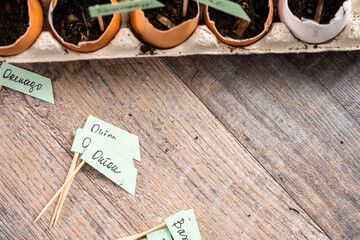 Organic seed starter pots