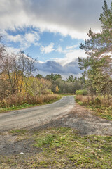 beautiful forest road in autumn