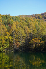 Fototapeta premium 秋の御射鹿池