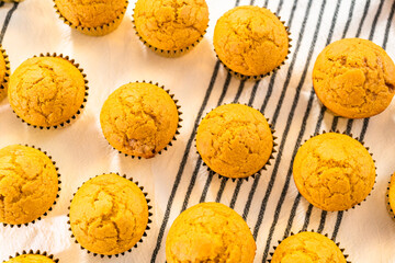 Pumpkin spice cupcake