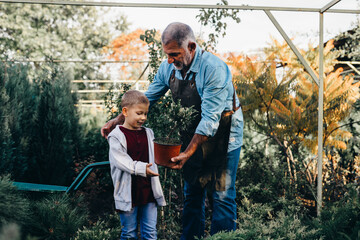 grandfather with his grandson in tree nursery