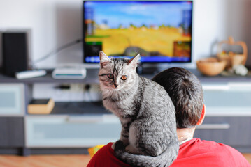 Kitten sits on the shoulder of a male gamer