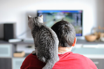 Kitten sits on the shoulder of a male gamer