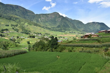 Mountain Panorama with Rice Paddies in Foreground, Sa Pa, Vietnam