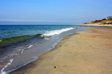 Fototapeta na wymiar Sandy shore of the calm Baltic Sea
