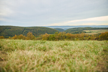  Velka Amerika quarry near Prague                           