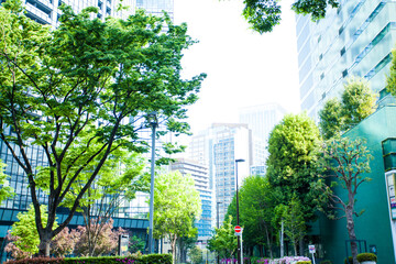 Fototapeta premium 新宿