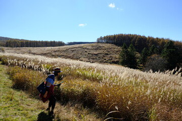 自然の景色を眺めている女性