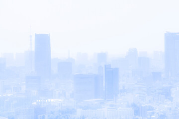 Fototapeta na wymiar 都庁展望台から見た眺め