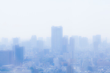 Fototapeta premium 都庁展望台から見た眺め