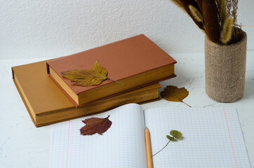 Notebook with a bookmark made of four-leaf clover