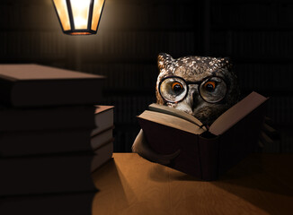 Owl bird reading books at night with lamp light. Education conceptual theme.